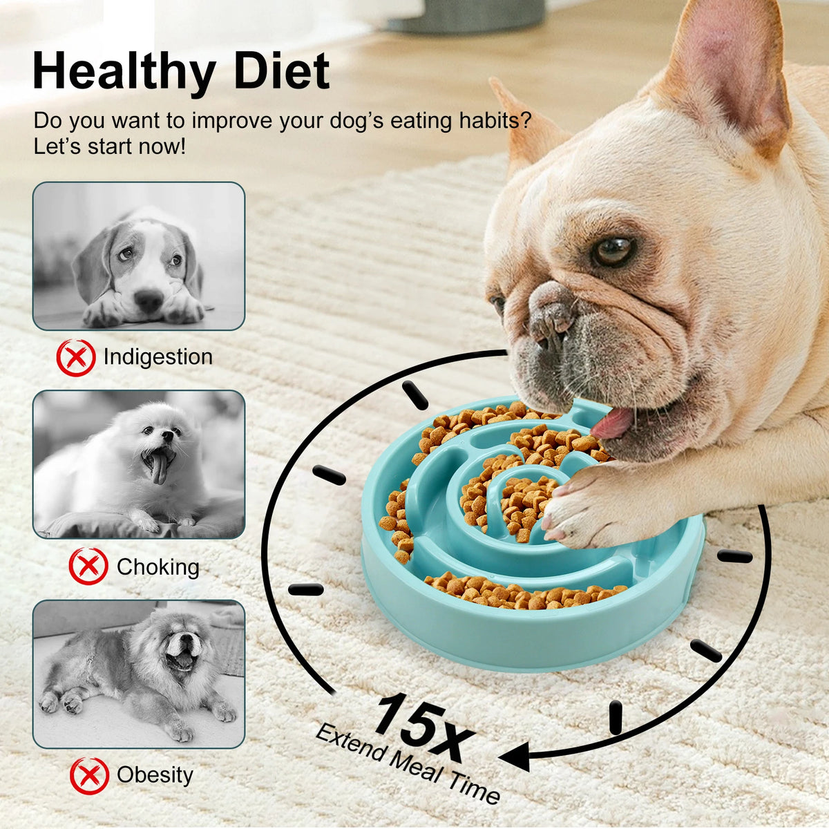 Anti-Gulp Slow Feeder Bowl