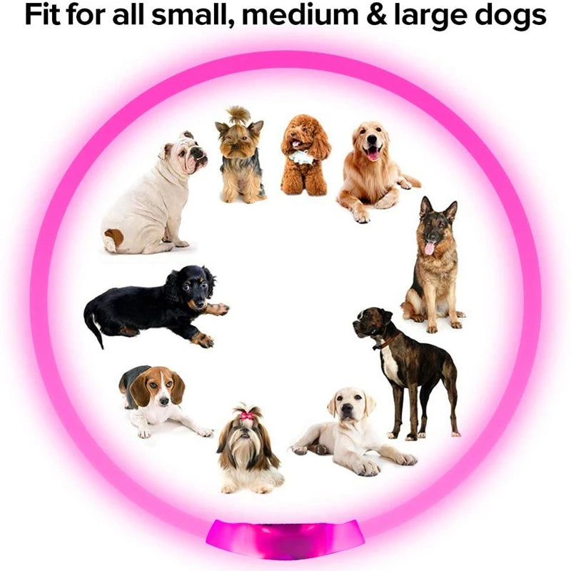 USB Rechargeable LED Collar