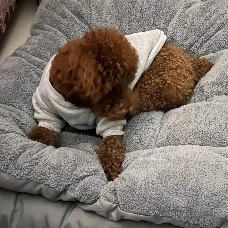 Oversized Plush Sofa Bed