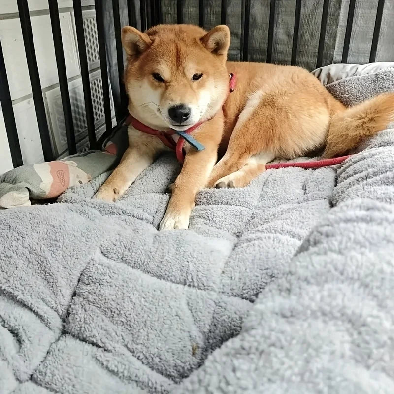 Oversized Plush Sofa Bed