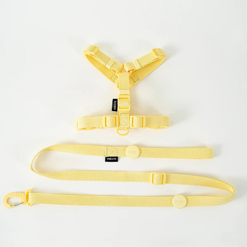 Pastel Harness, Collar & Lead Set