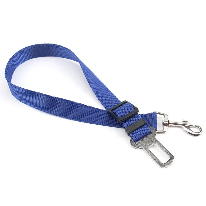 Car Seat Belt Lead with Clip