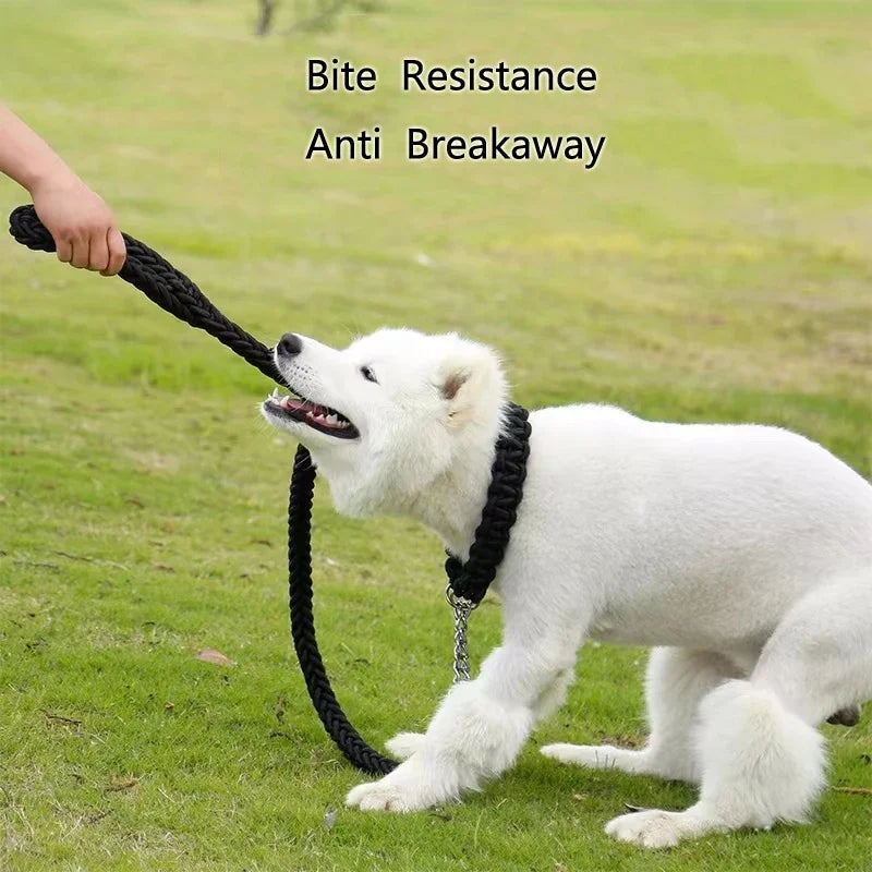 Braided Rope Training Lead