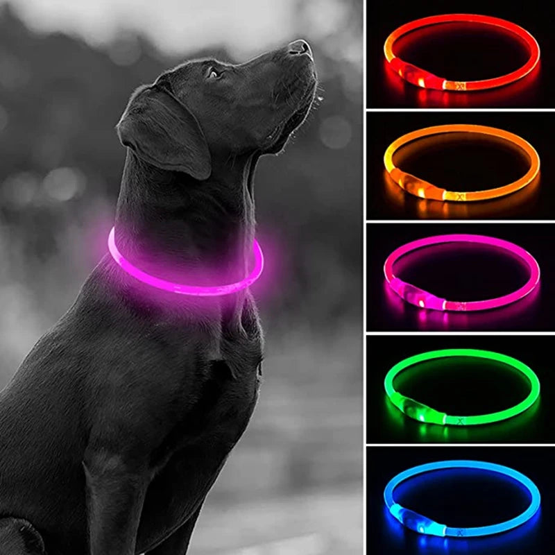 USB Rechargeable LED Collar