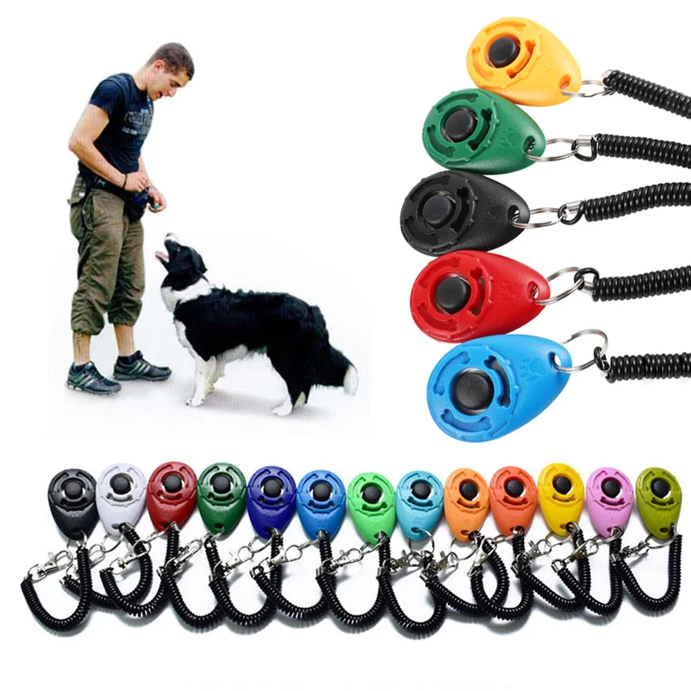 Keyring Training Clicker
