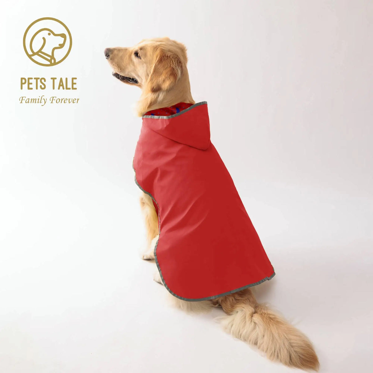 Reversible Yellow Raincoat
