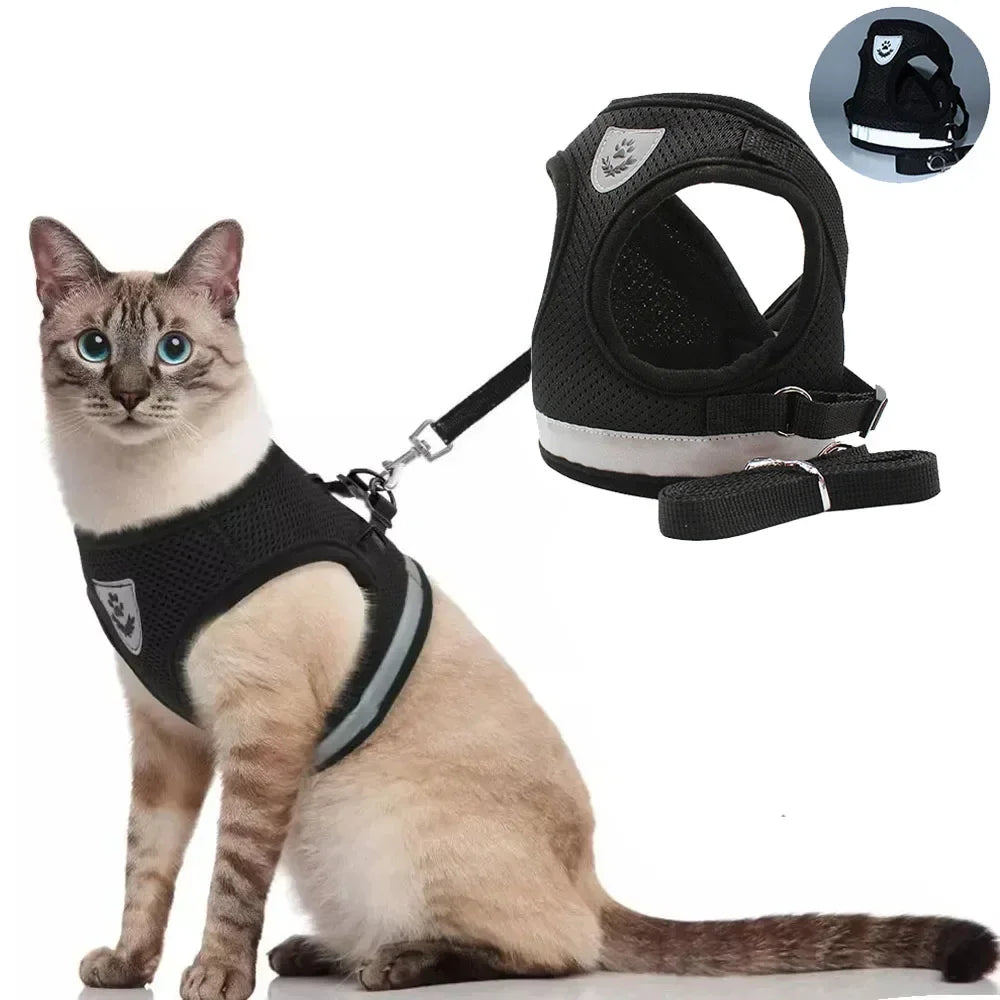Cat Mesh Harness & Lead Set