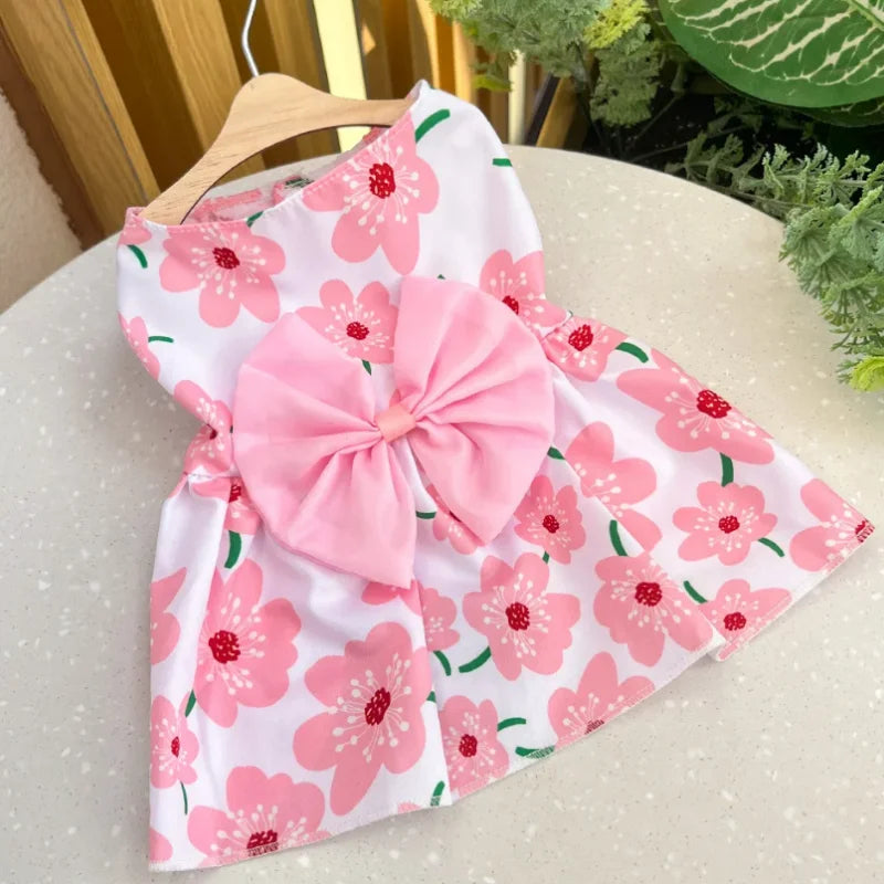 Bow & Lace Summer Dress