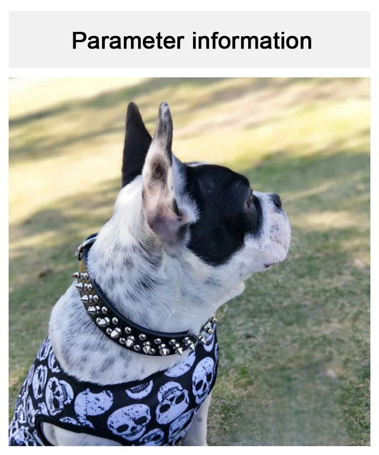 Studded Faux Leather Collar
