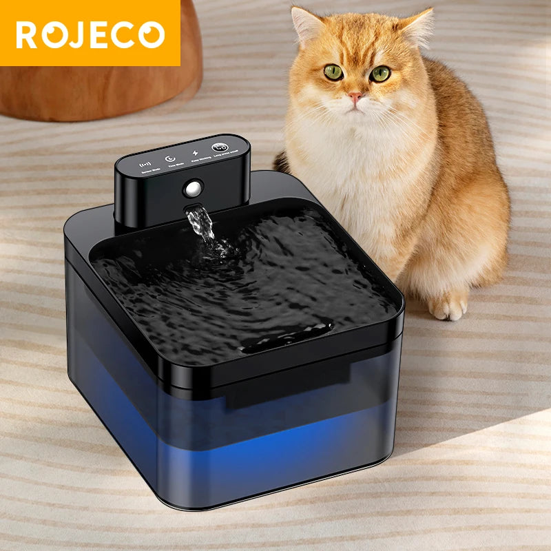 Cordless Sensor Water Fountain