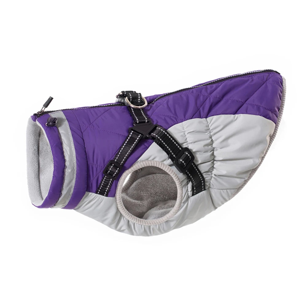 Winter Jacket with Built-In Harness