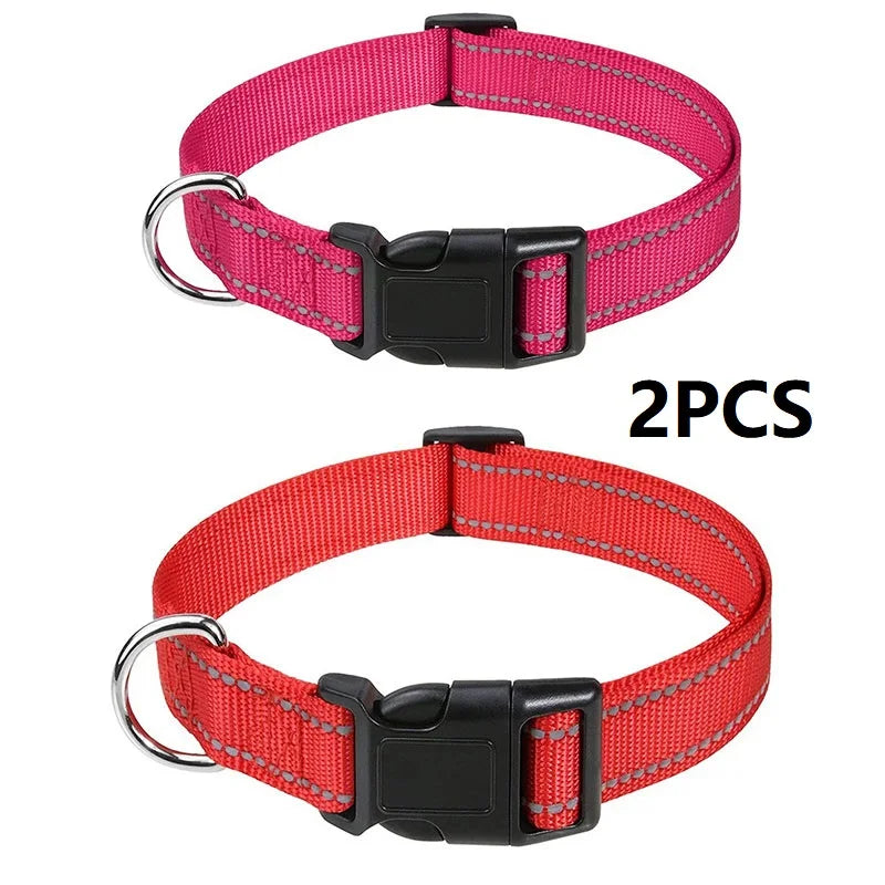 Decorative Small Dog Collar