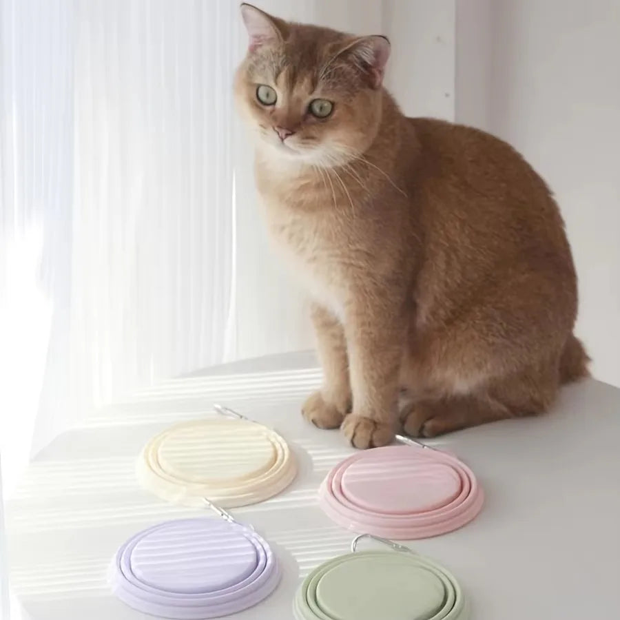 Large Foldable Silicone Bowl