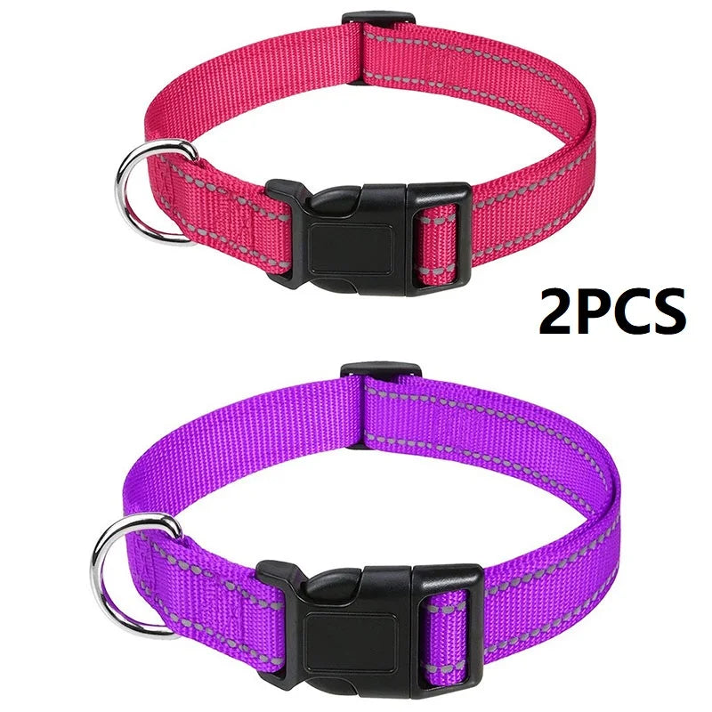 Decorative Small Dog Collar