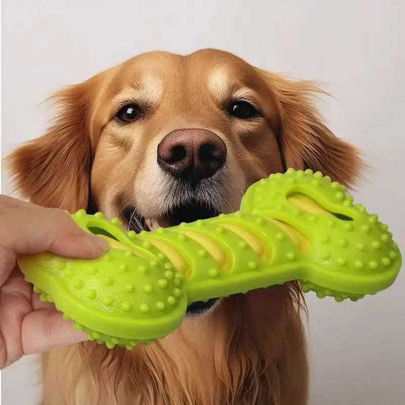 Squeaky Rubber Chew Bone