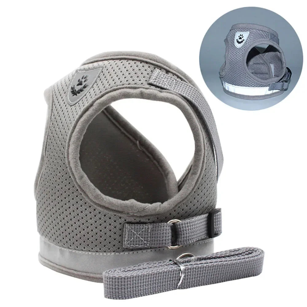 Cat Mesh Harness & Lead Set
