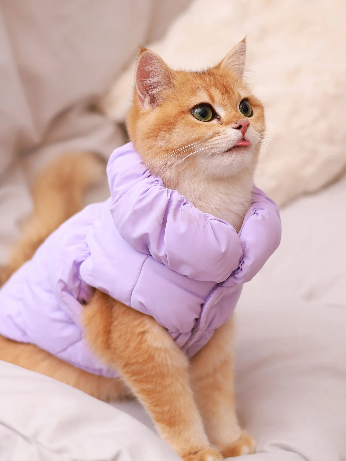 Three-Layer Winter Jacket