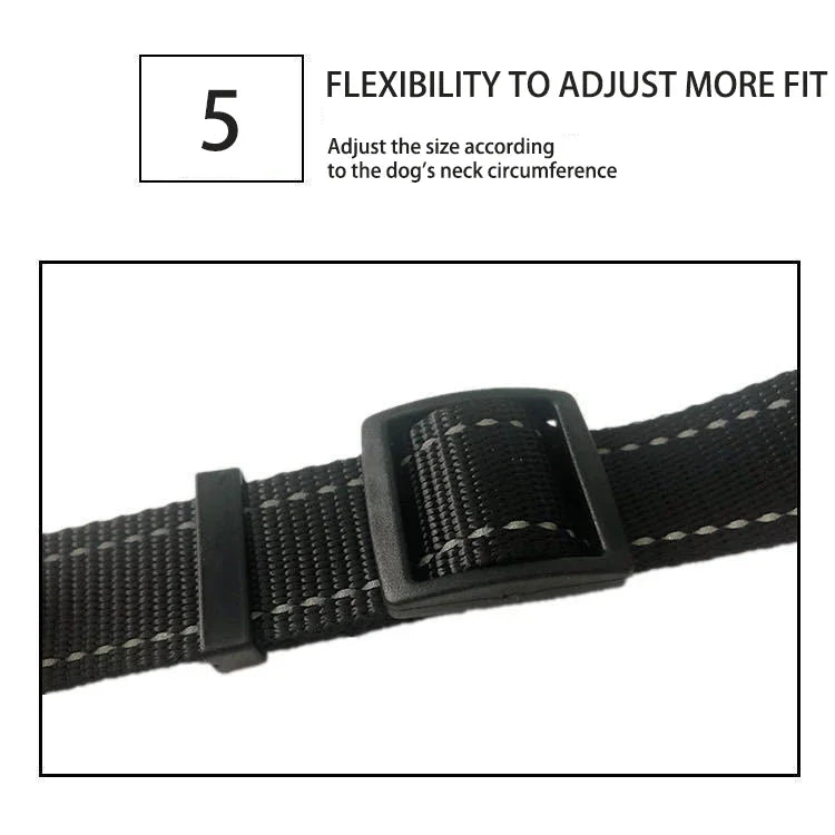 Quick-Release Vest Harness