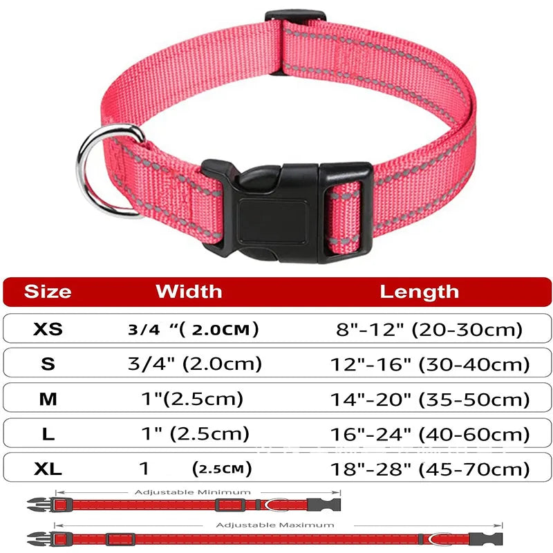 Decorative Small Dog Collar