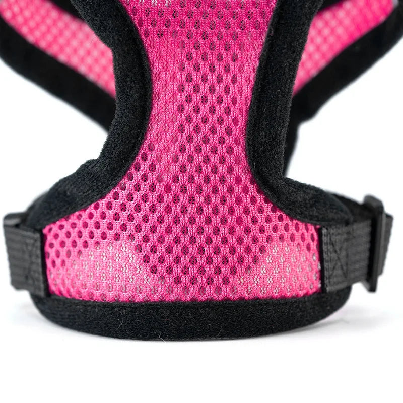 Summer Mesh Harness & Lead