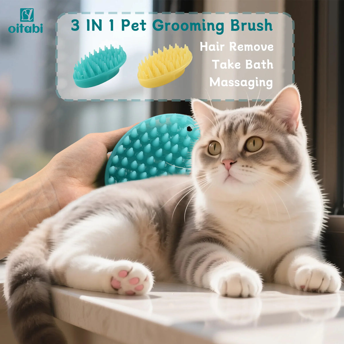 Soft Rubber Wet & Dry Brush