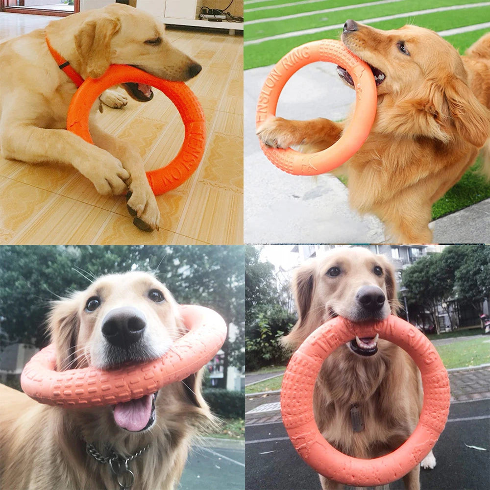 EVA Tug & Fetch Training Ring
