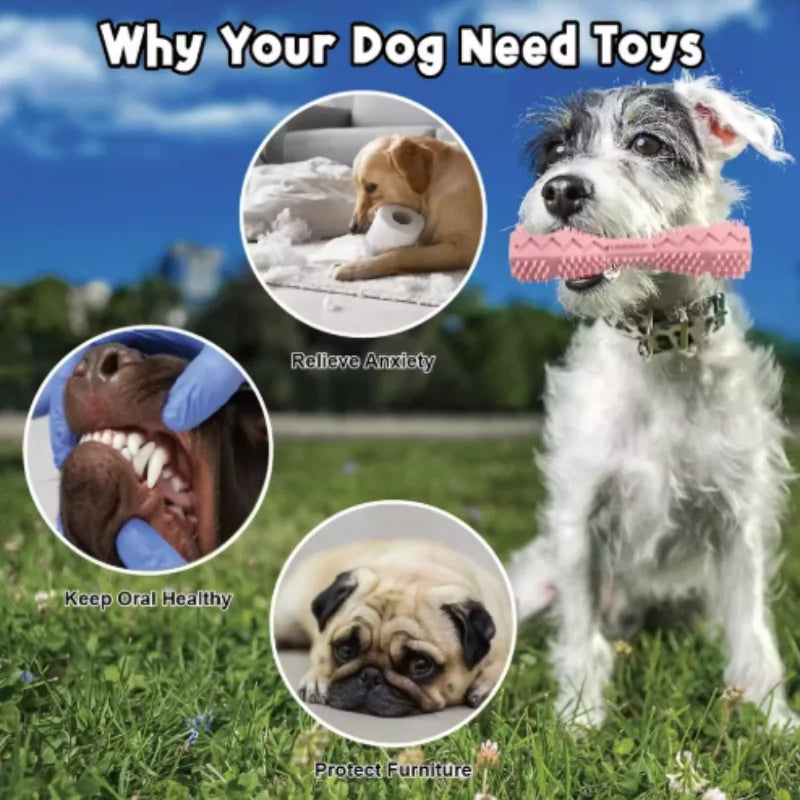 Treat-Dispensing Chew Stick