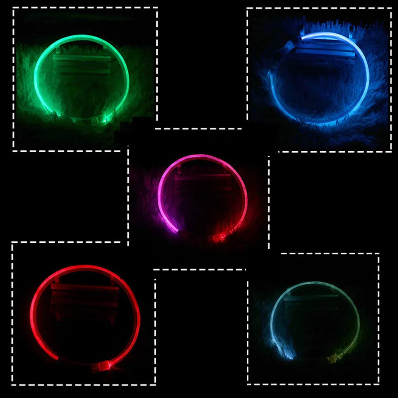 USB Rechargeable LED Collar