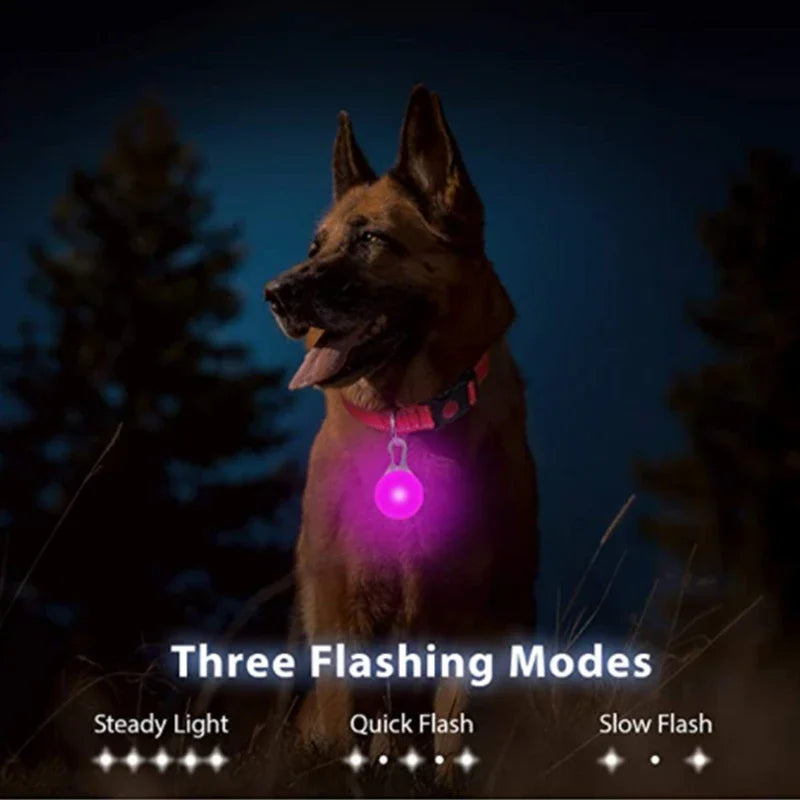 LED Glow Pendant Collar
