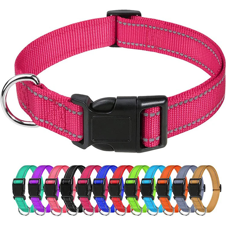 Decorative Small Dog Collar