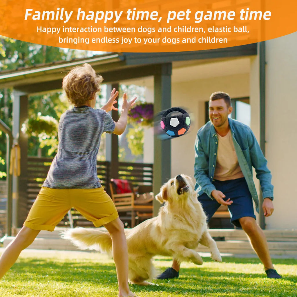 Football Squeaky Fetch Ball