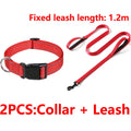 Decorative Small Dog Collar