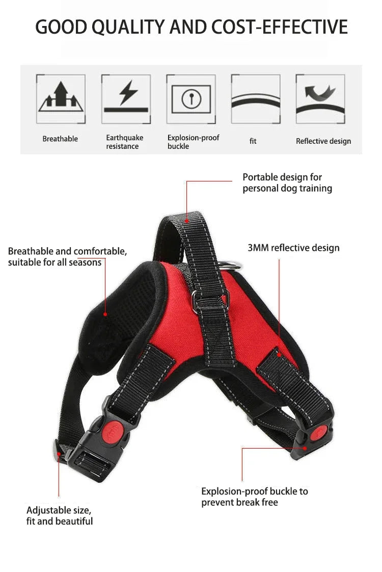Quick-Release Vest Harness