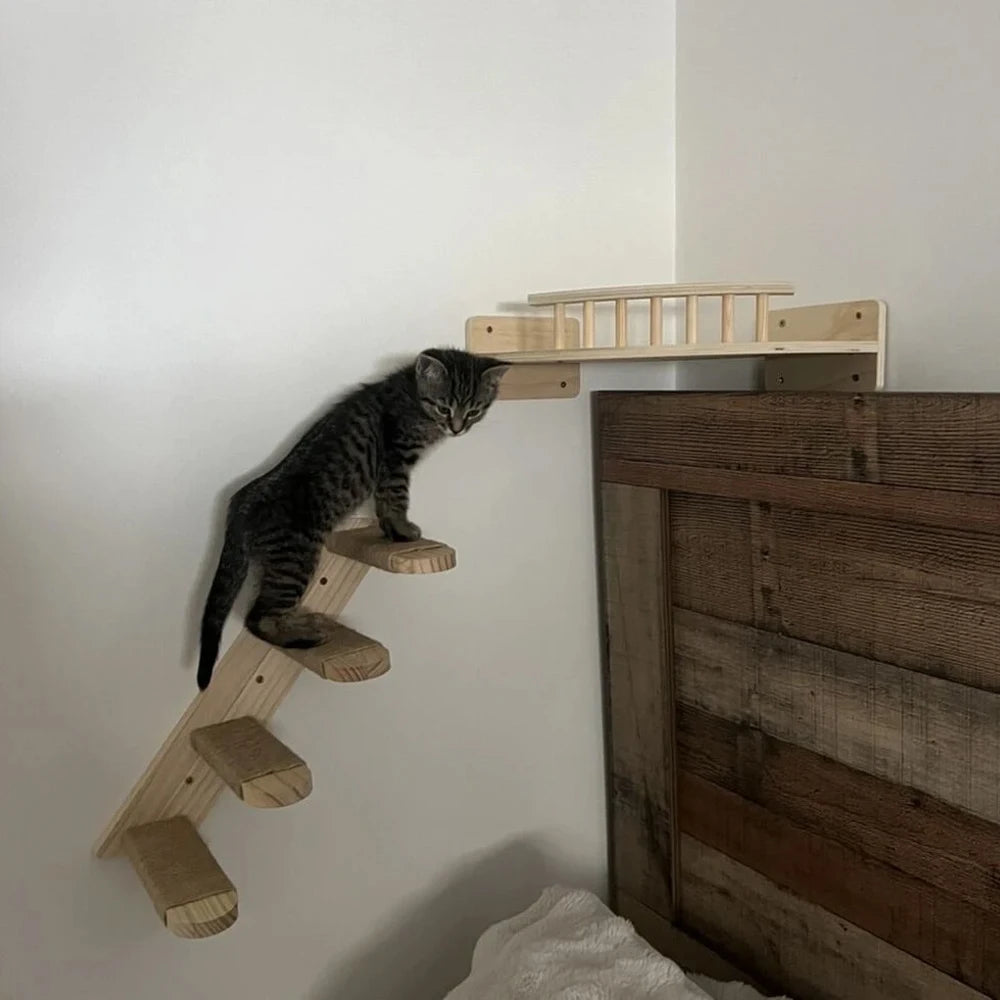 Floating Wall Shelf Perch
