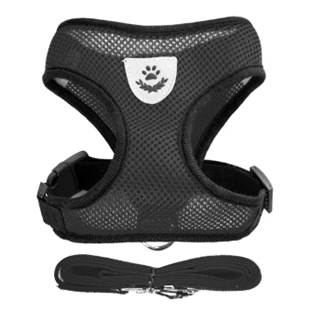 Mesh Harness Vest & Lead