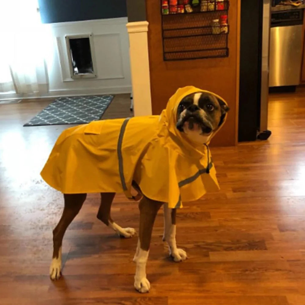 Hooded Cape Raincoat