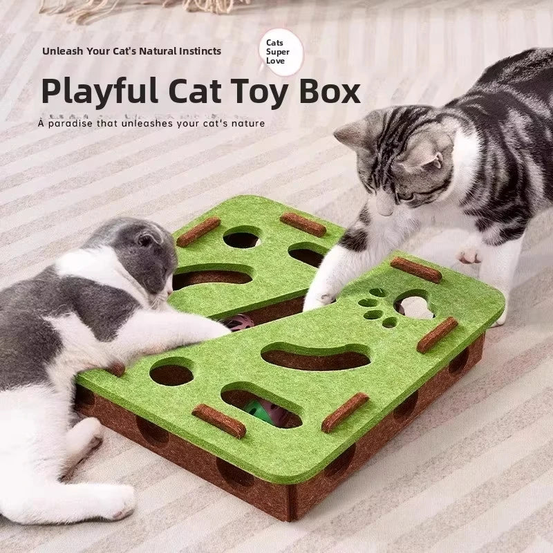 Felt Puzzle Box with Play Balls