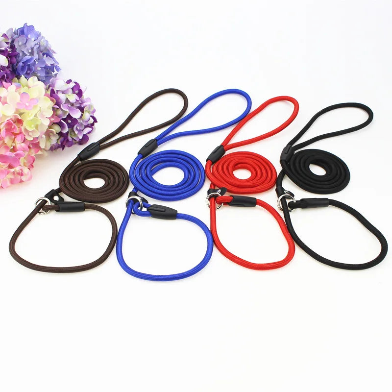 Everyday Nylon Lead (130cm)