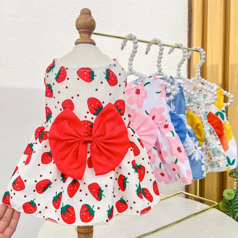 Bow & Lace Summer Dress