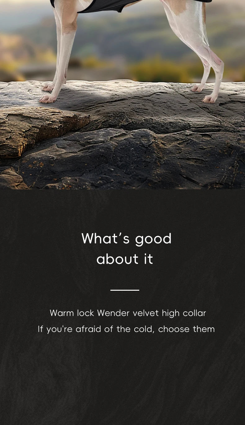 Colour-Block Turtleneck Sweatshirt