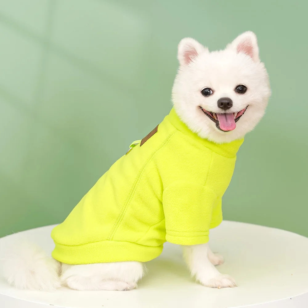 Classic Solid Hoodie