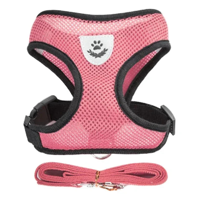 Mesh Harness Vest & Lead