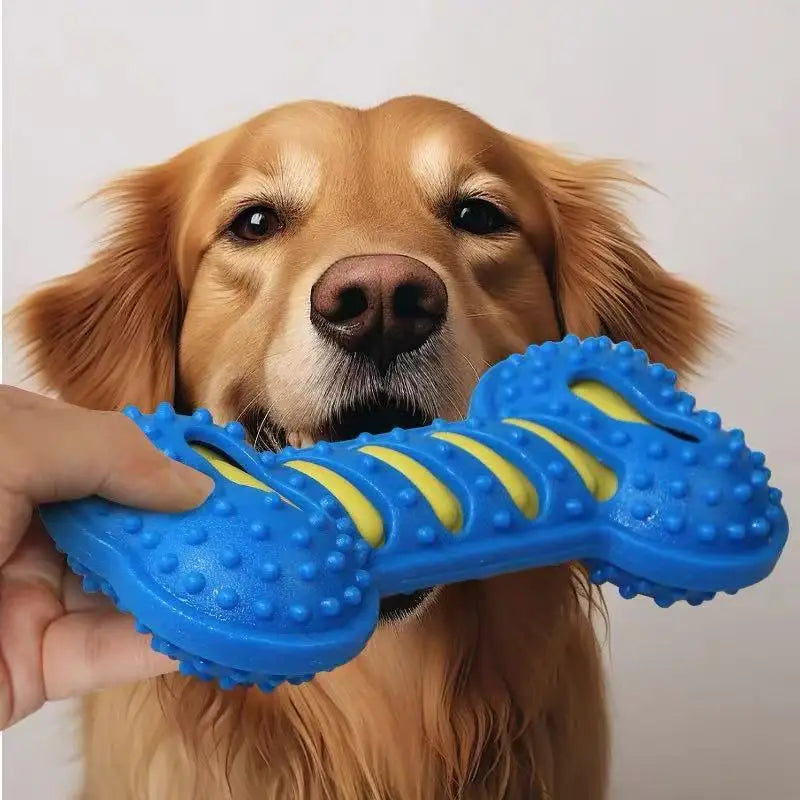 Squeaky Rubber Chew Bone