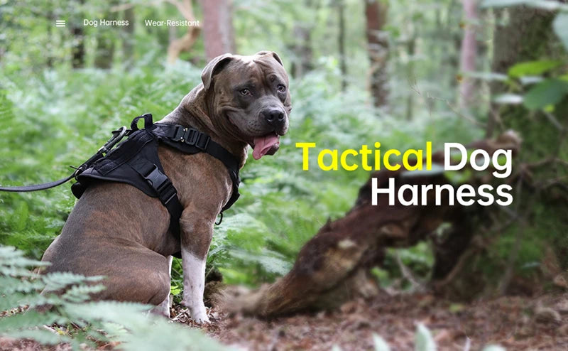 Tactical MOLLE Harness Set