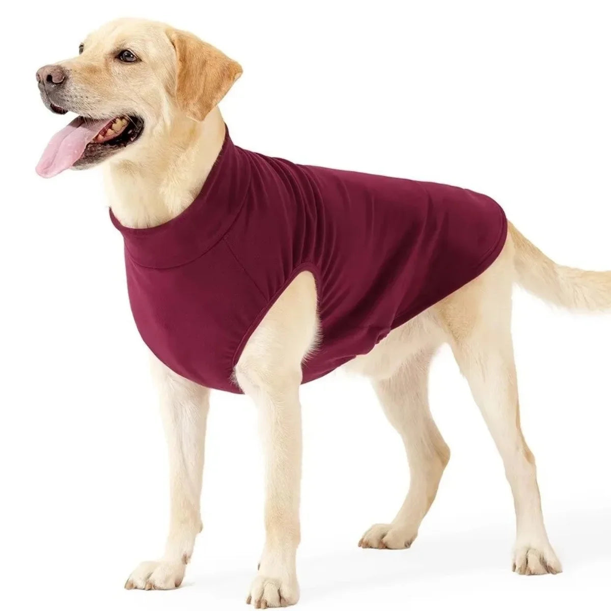 Stretchy Everyday Jumper