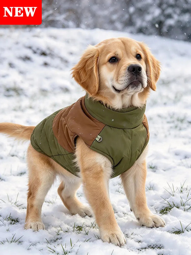 Waterproof Padded Dog Vest