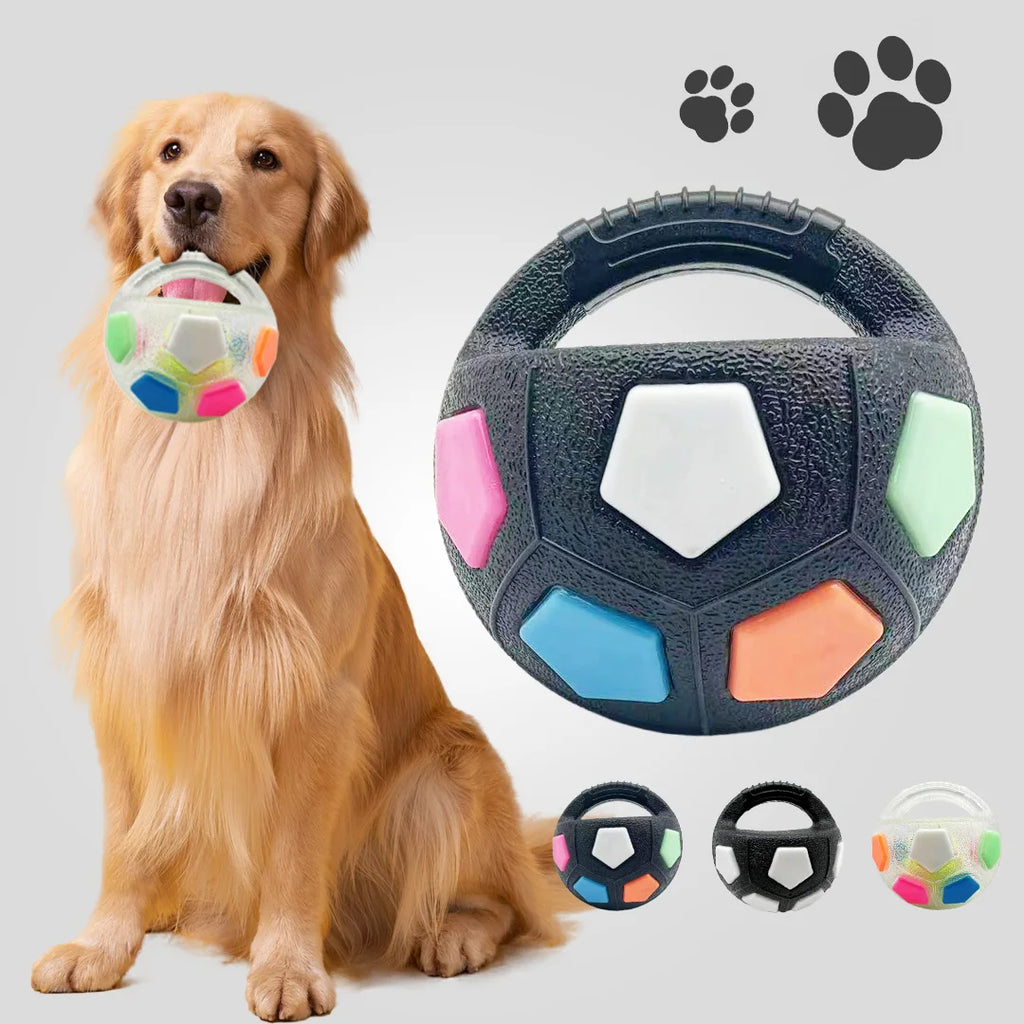 Football Squeaky Fetch Ball