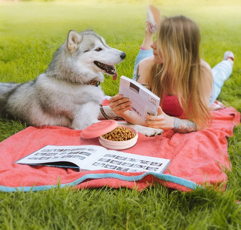 2-in-1 Travel Bowl with Treat Pocket