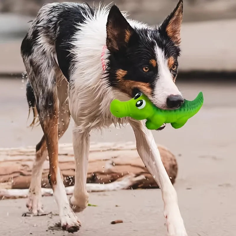 Crunchy Latex Squeaky Ball