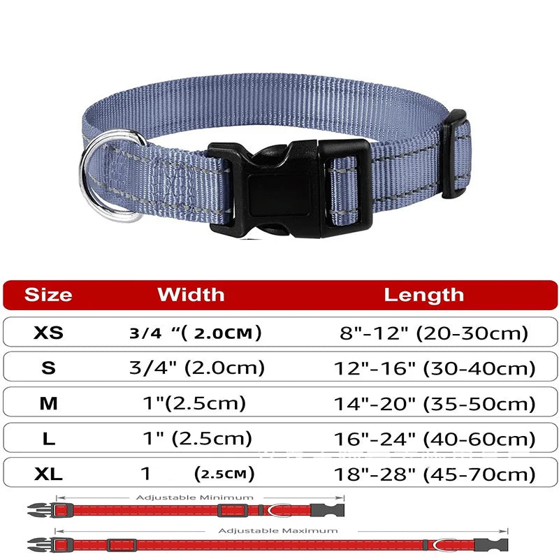 Decorative Small Dog Collar